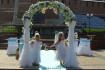 Ангелочки на свадьбу