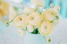 Свадьба в мятном и жёлтом цветах