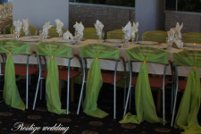 Свадебное оформление в нежно - зеленом цвете